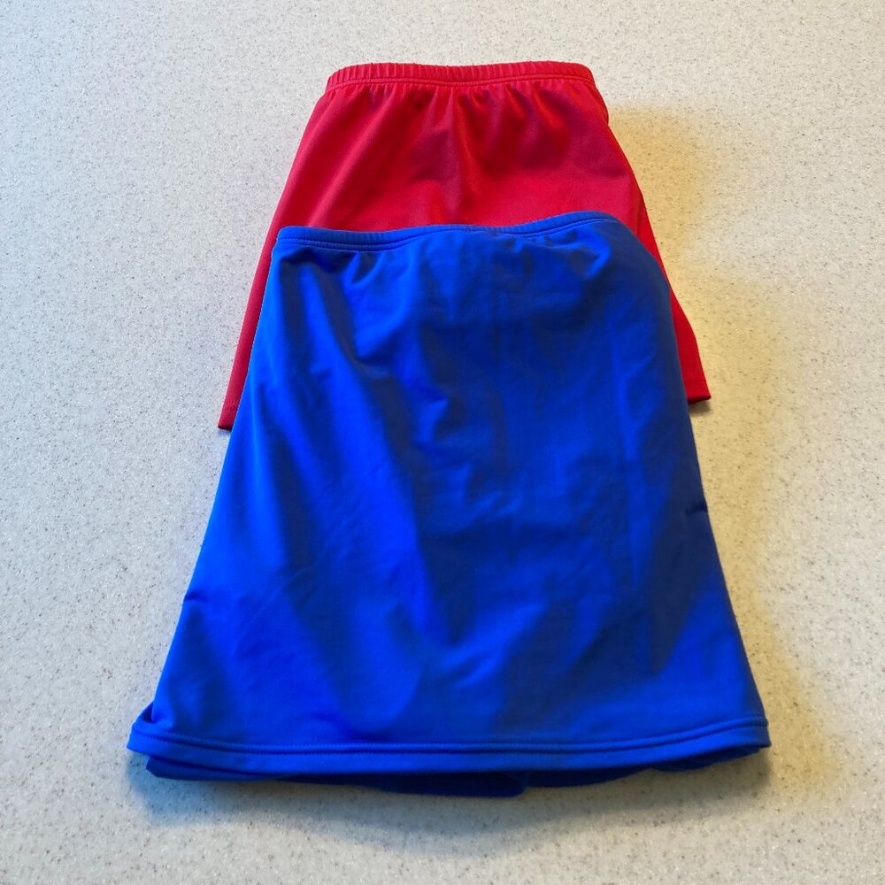 Swim Skirt Bundle: Blue Red Women Size 16/18